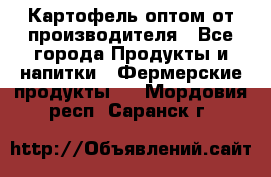 Картофель оптом от производителя - Все города Продукты и напитки » Фермерские продукты   . Мордовия респ.,Саранск г.